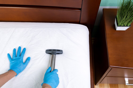 ابادة حشرات البق