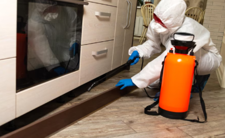 افضل شركة ابادة حشرات بالتجمع