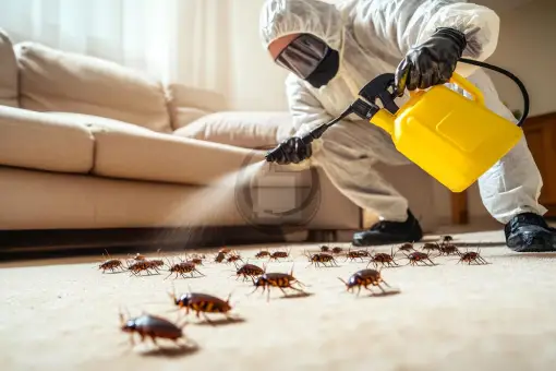 سعر رش البيت من البق في مصر 2025 بأقل الأسعار بضمان 5 سنوات