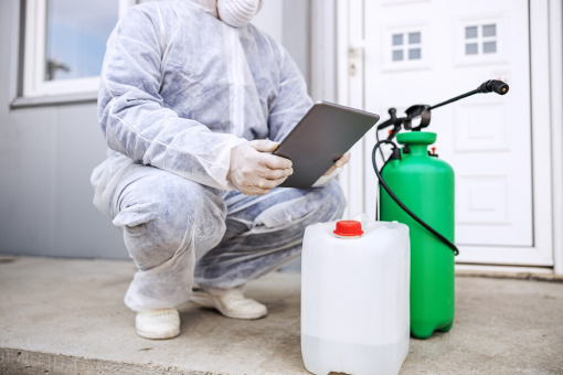 شركة ابادة حشرات بالقاهرة 