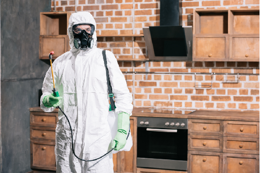 شركة ابادة حشرات في التجمع الخامس