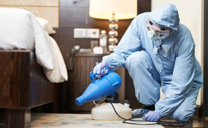 شركة ابادة حشرات في التجمع الخامس