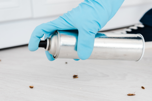 شركه مكافحة الفئران التجمع الخامس