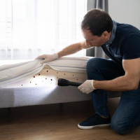 شركة مكافحة حشرات مكافحة بق الفراش