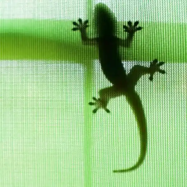 about image