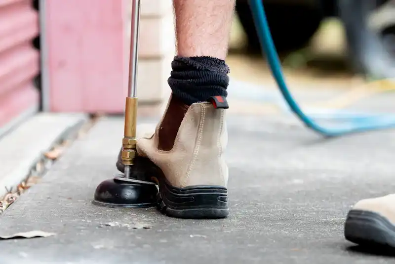 المبيدات الفسفورية للبق: 6 أماكن يجب استهدافها للقضاء على البق نهائيًا